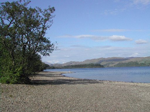 View of Loch Awe, North from beach.