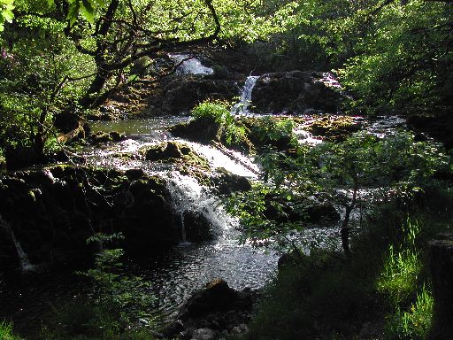 The Avich Falls.